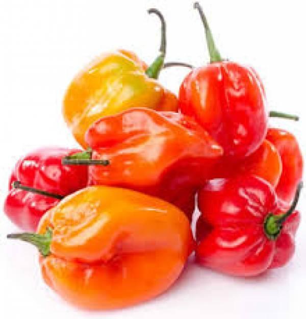 Daftar Habanero Bagus: Varietas Terbaik untuk Dicoba