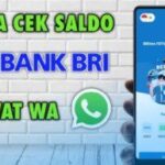 Situs Gacor BRI: Cara Tepat Cek Saldo dan Transaksi