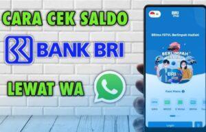 Situs Gacor BRI: Cara Tepat Cek Saldo dan Transaksi
