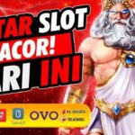 Situs Casino OVO Terpercaya dan Terbaik di Indonesia