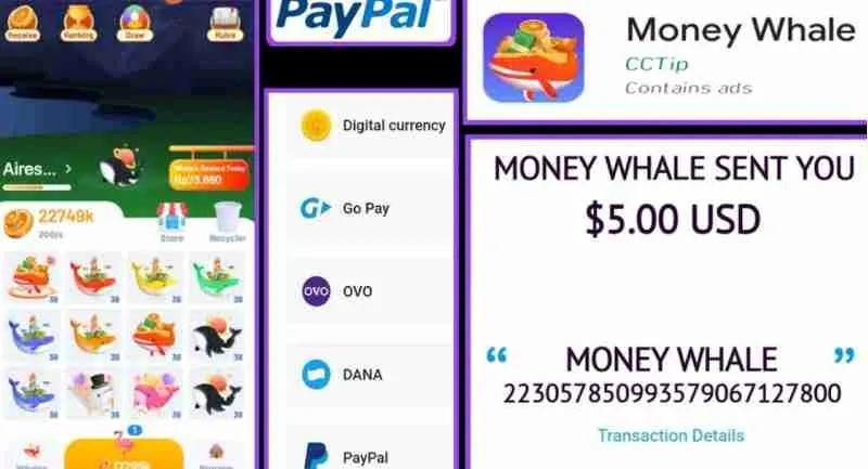 Dapatkan Akun Jackpot dengan Saldo Gratis di Sini!